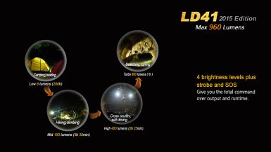fenix-LD41XML2V2-12