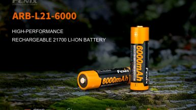 Fenix_ARB-L21-6000_E-01